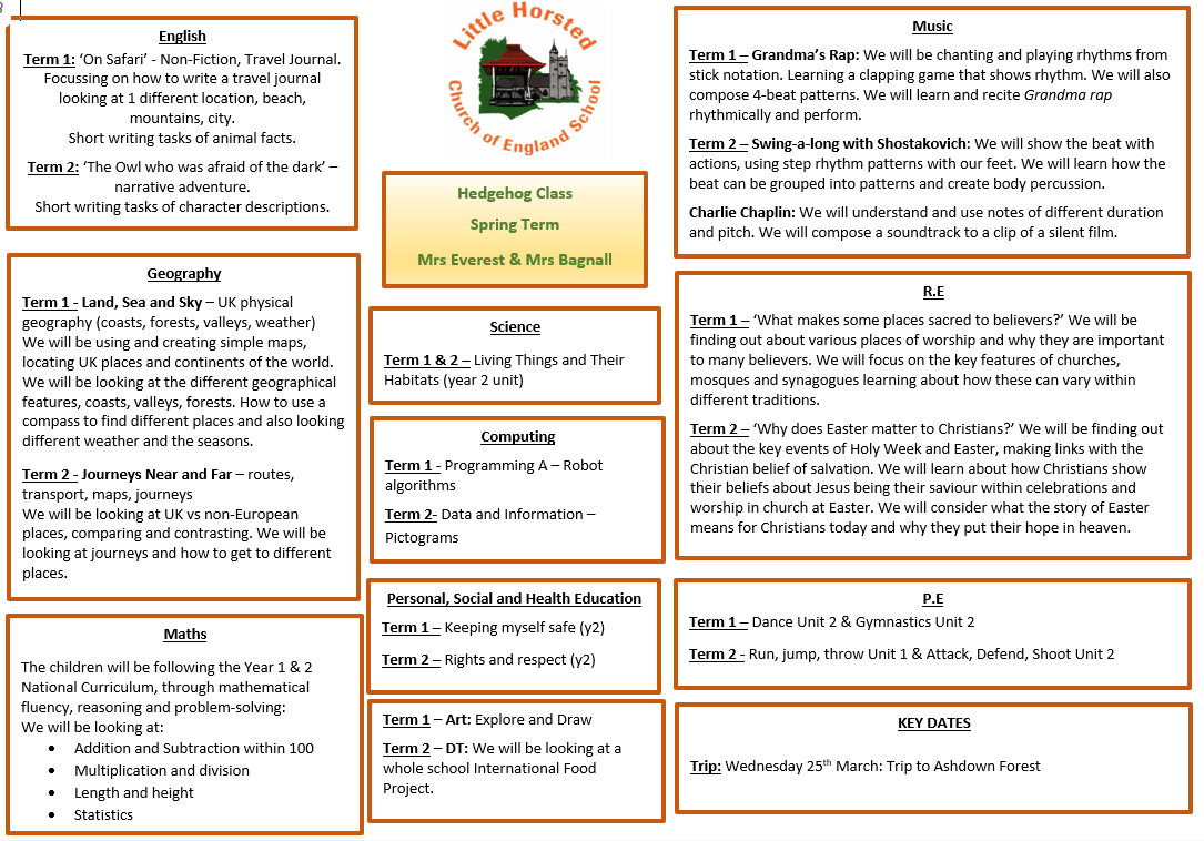 Spring term in Hedgehogs